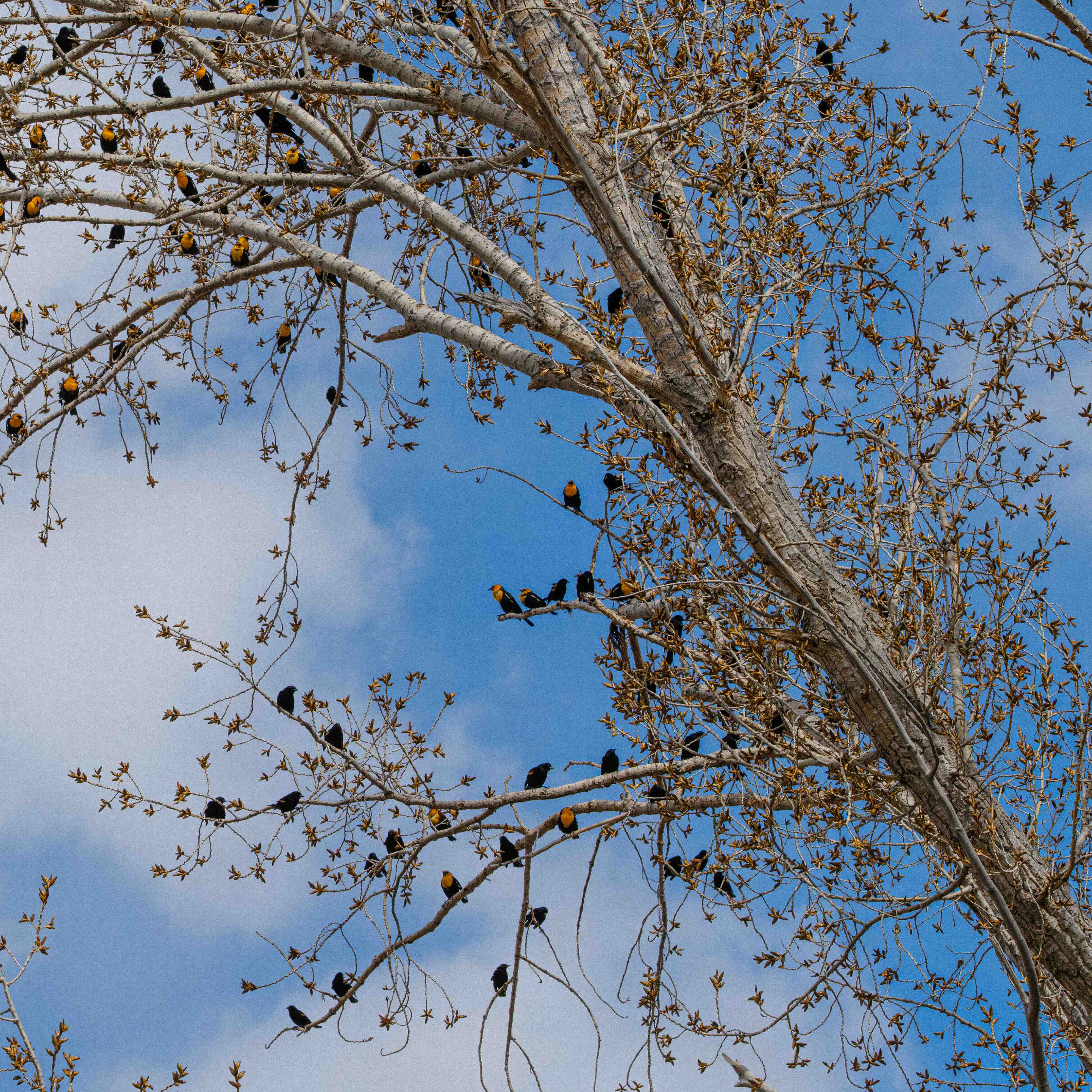 Photo at Malheur National Wildlife Refuge