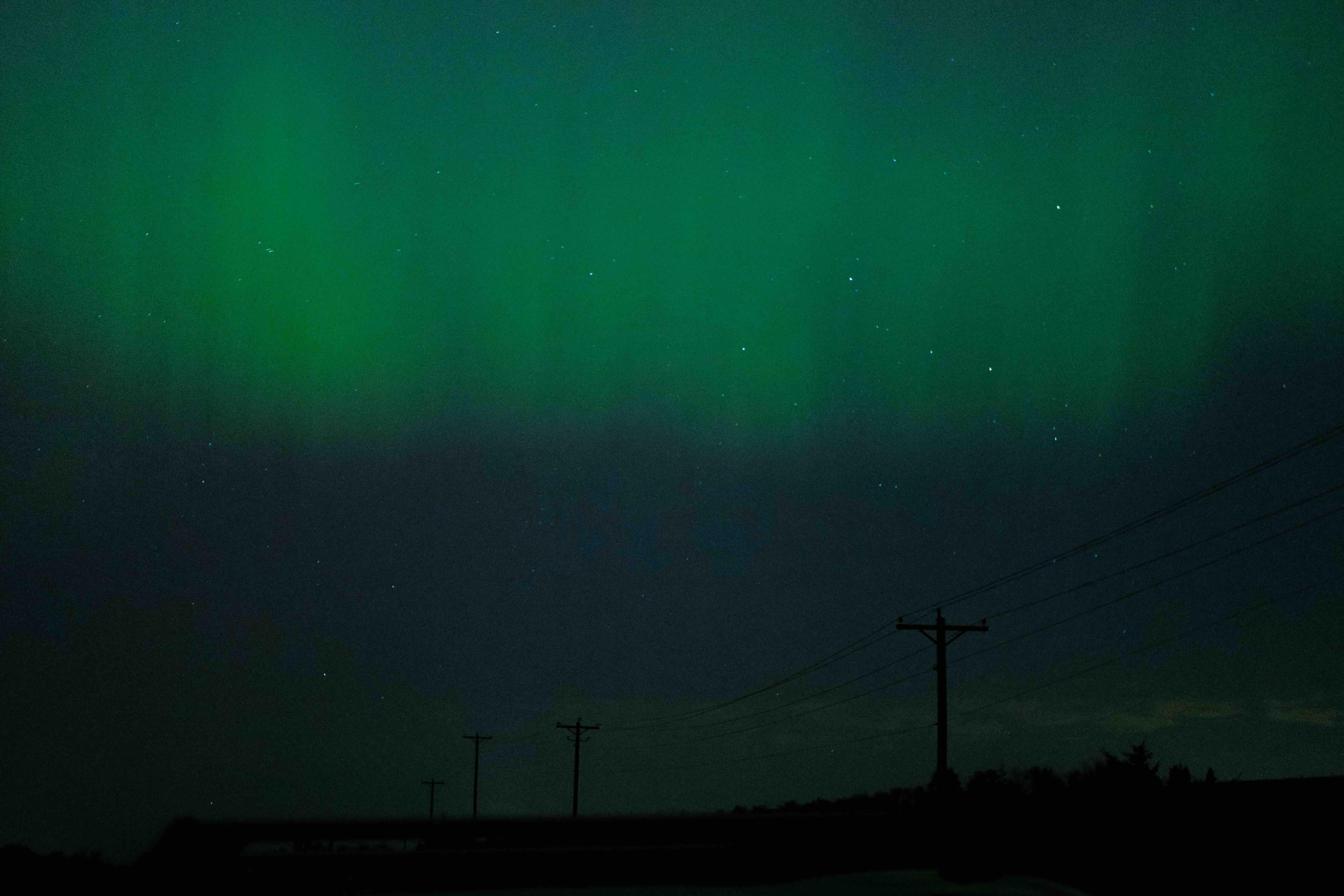 Photo of boreal in May 2024