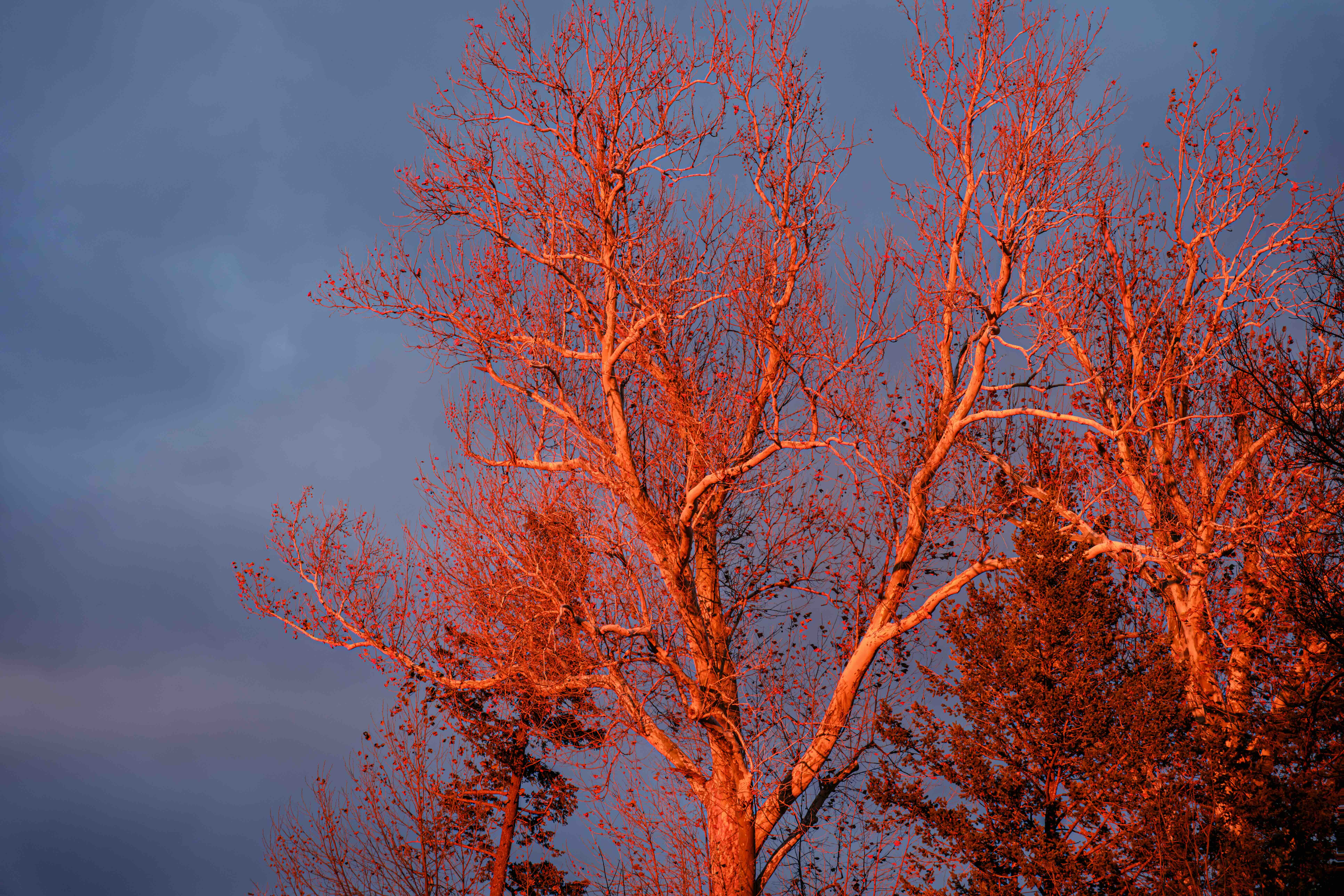Photo of Grinnell at sunset