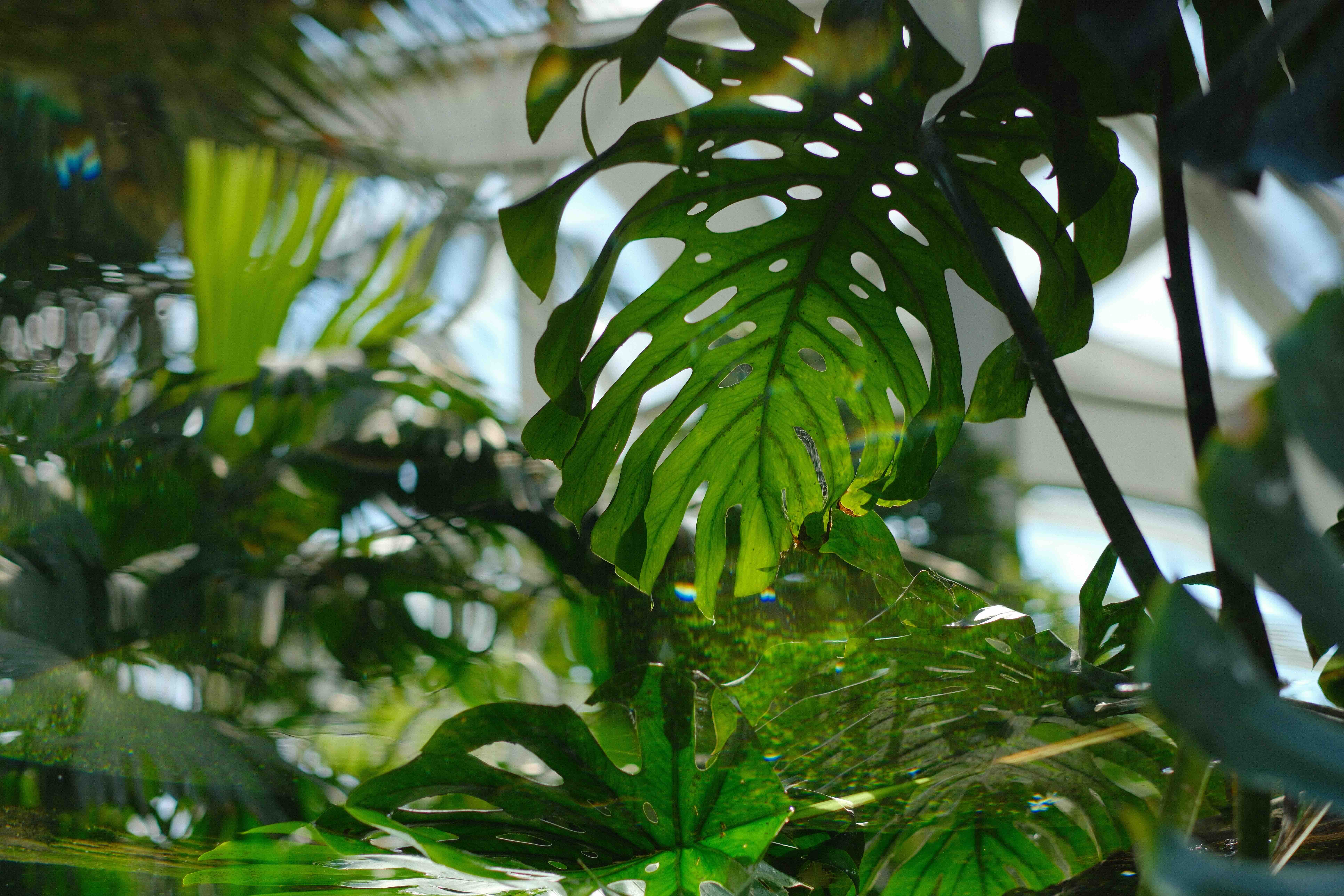 Photo at Como Zoo in St. Paul