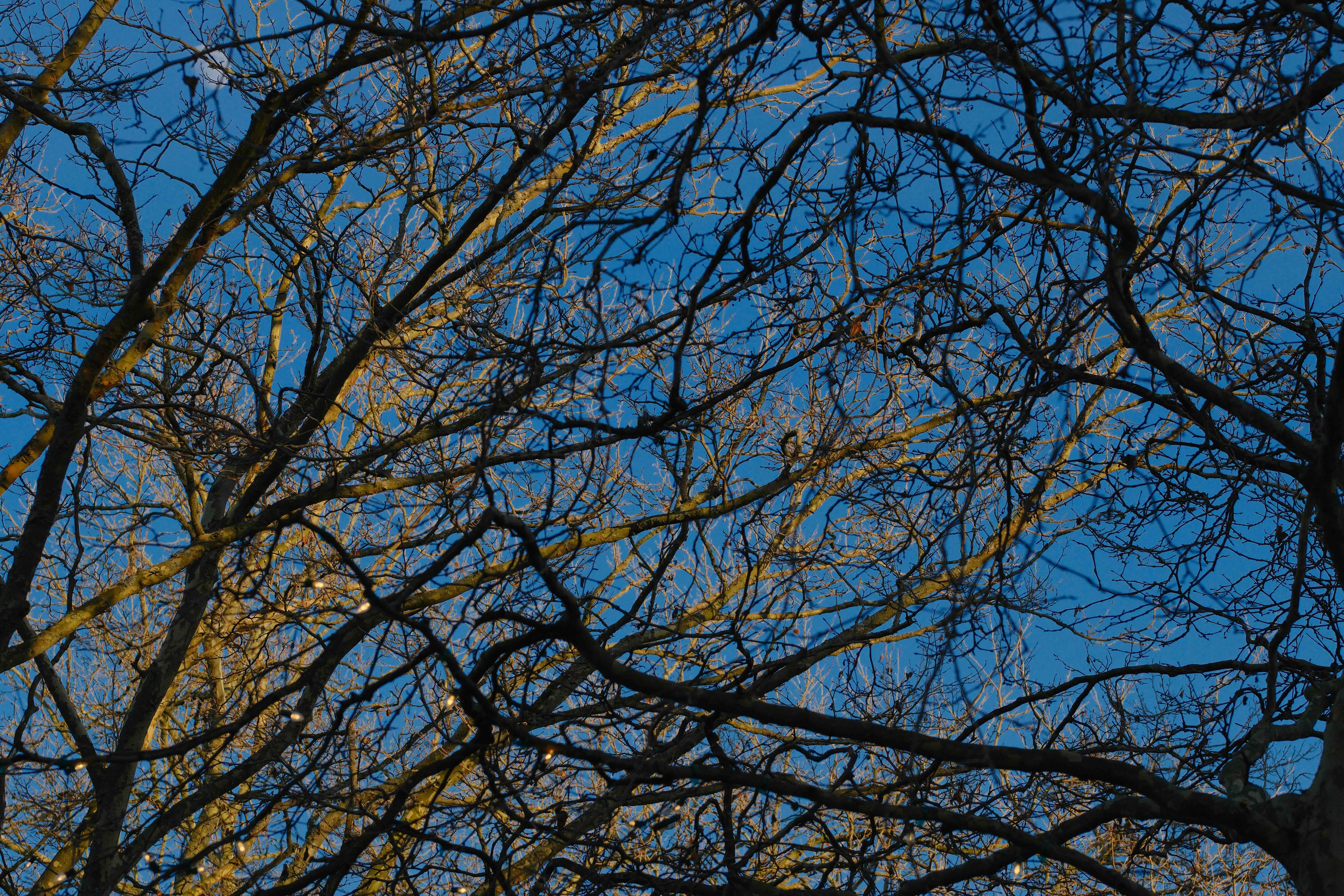 Photo under the Space Needle
