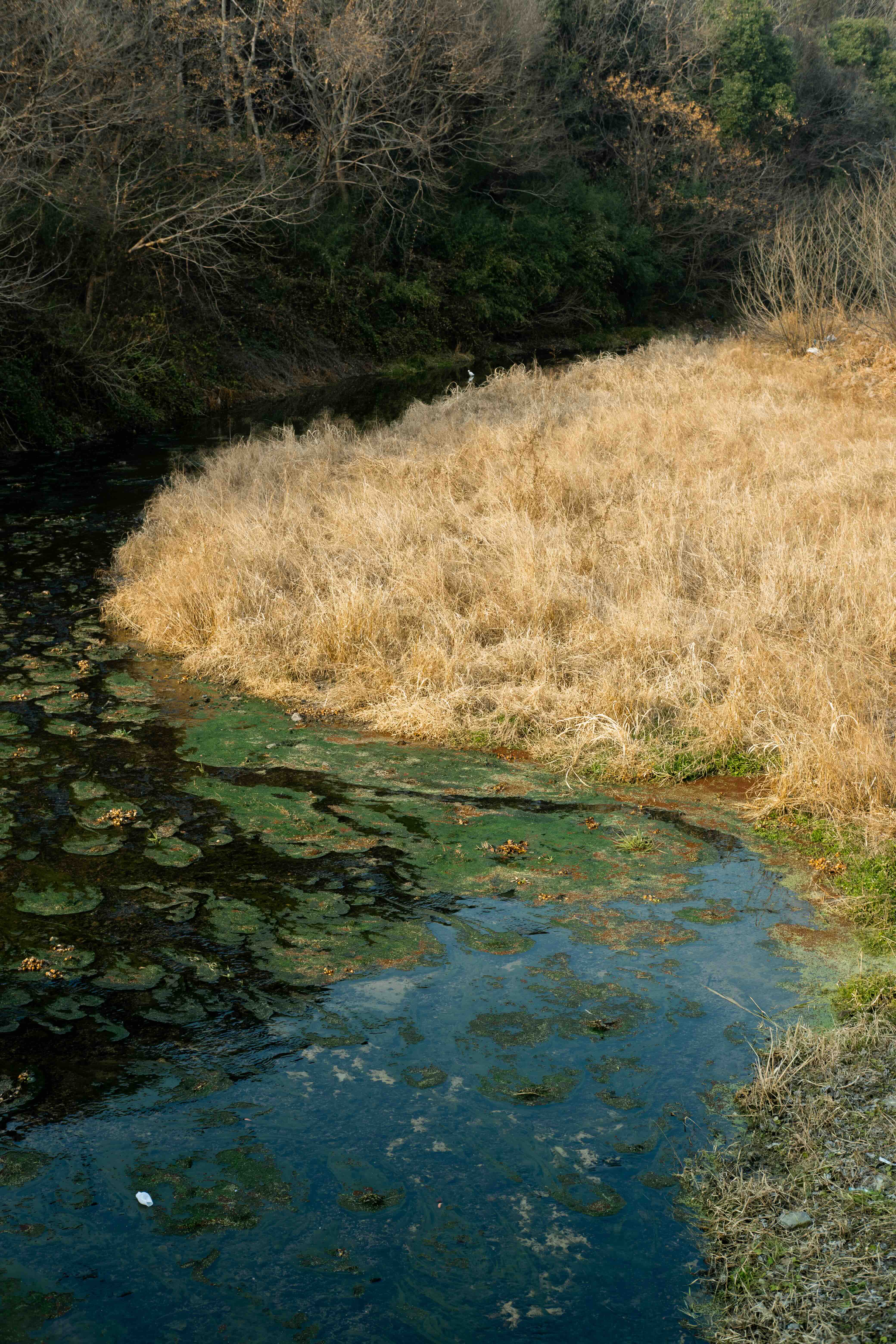 Photo of Keyan in Shaoxing city