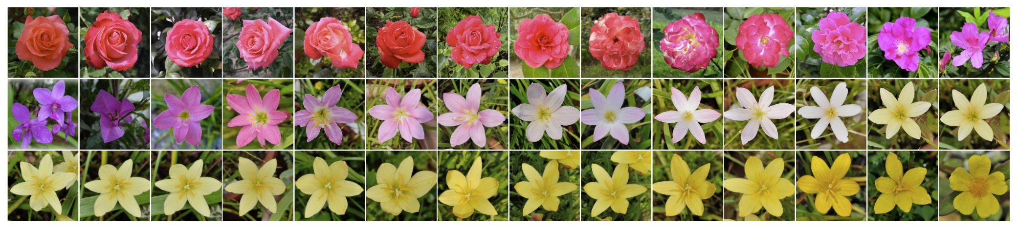 nearest neighbor search figure